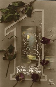 New Year Card by French Photographer